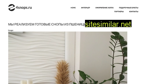 4snops.ru alternative sites