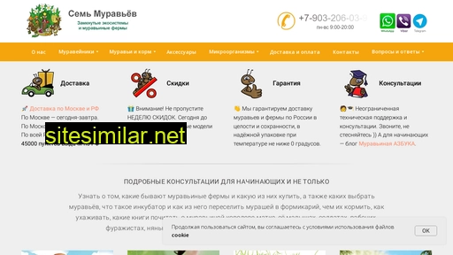 7ants.ru alternative sites