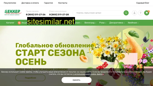 abekker.ru alternative sites