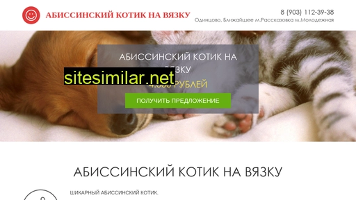 abissinci-vyazka.ru alternative sites