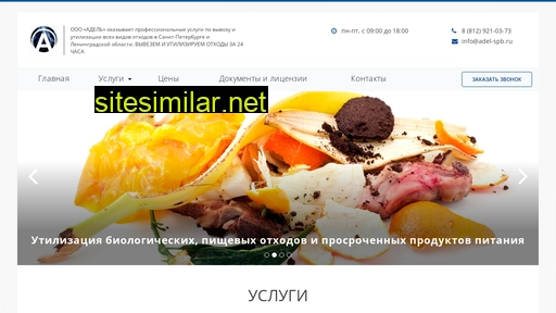 adel-spb.ru alternative sites