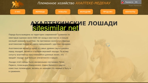 ahalteke-medenau.ru alternative sites