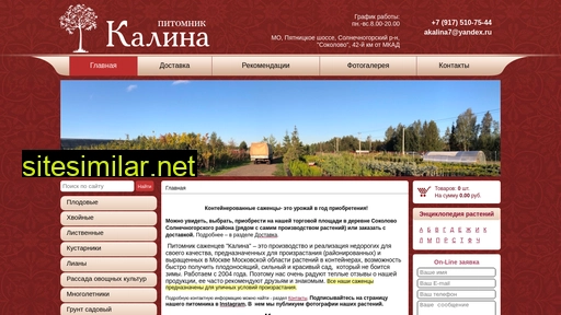 akalina.ru alternative sites
