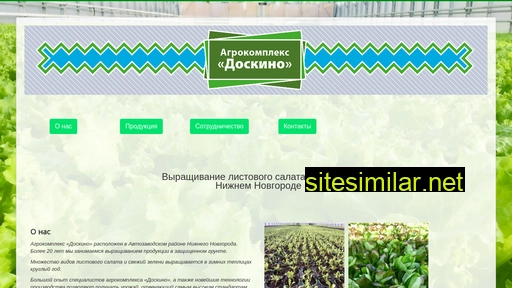 ak-doskino.ru alternative sites