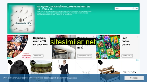 amadina24.ru alternative sites
