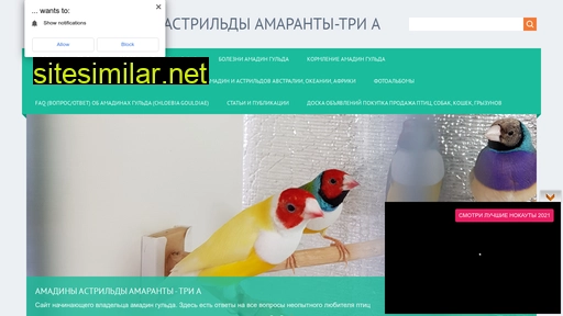 amadinagoulda.ru alternative sites