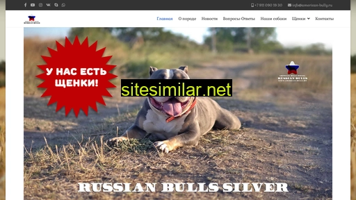 american-bully.ru alternative sites