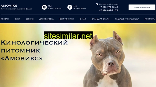 americanbullies.ru alternative sites