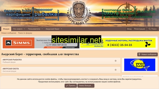 amur-bereg.ru alternative sites