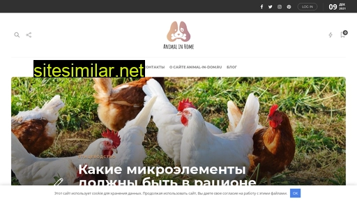 animal-in-dom.ru alternative sites