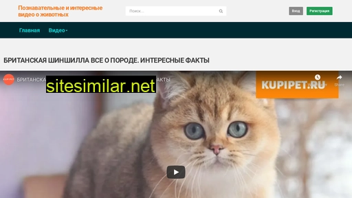 animal-info.ru alternative sites