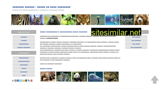 animal-online.ru alternative sites