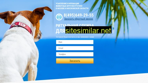 animal-service.ru alternative sites