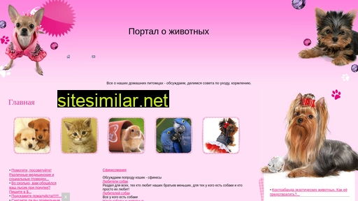 animalpavel.ru alternative sites