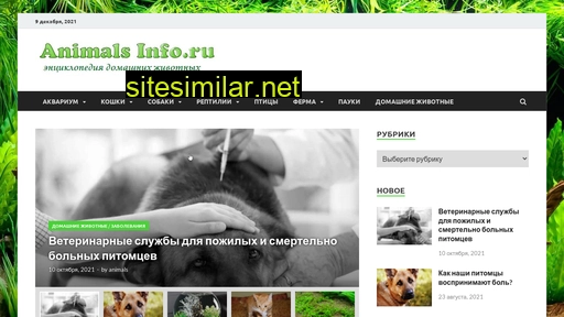 animalsinfo.ru alternative sites