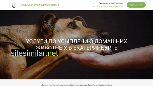 animalsretual.ru alternative sites