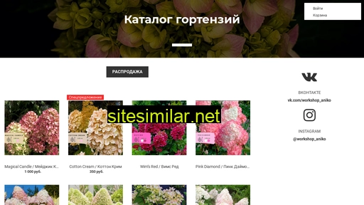 ani-ko.ru alternative sites