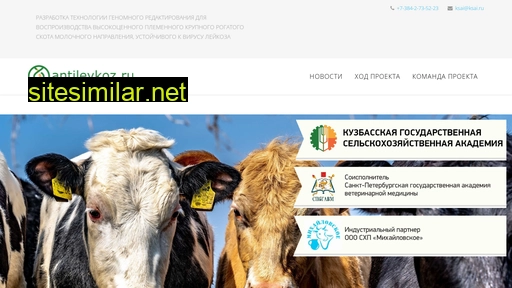 antileykoz.ru alternative sites