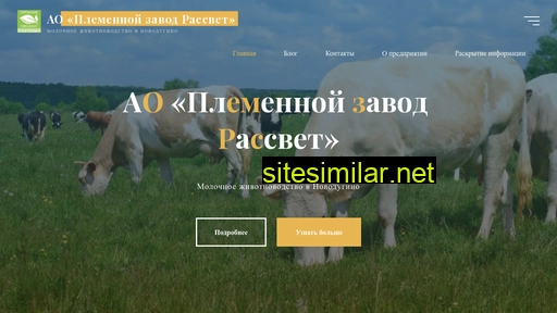 aorassvet.ru alternative sites