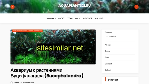 Aquaplants21 similar sites