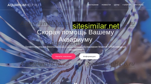 aquariumhelp.ru alternative sites