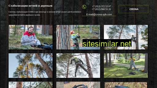 arboristo.ru alternative sites