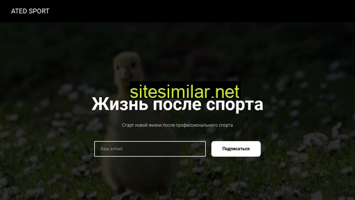 atedsport.ru alternative sites