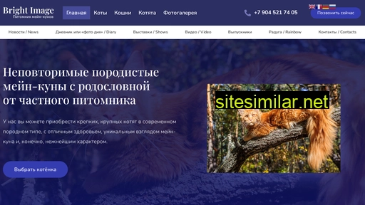 atomic-coon.ru alternative sites