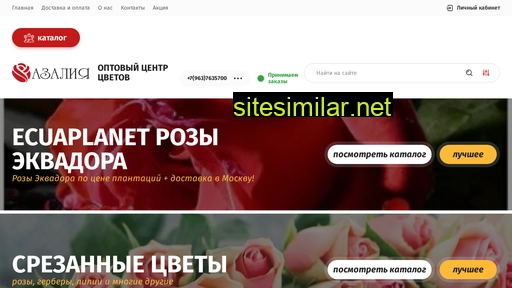 azaliamsk.ru alternative sites