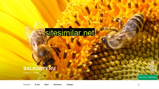 balkorty.ru alternative sites