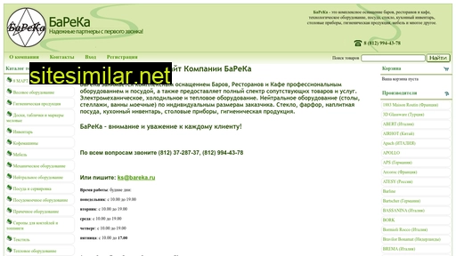 bareka.ru alternative sites