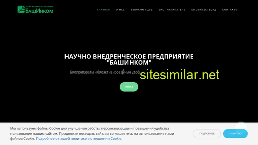 bashinkom-rnd.ru alternative sites