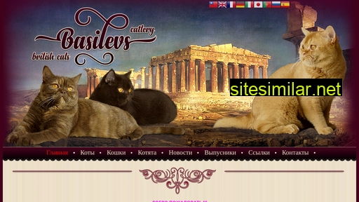 Basilevs-cats similar sites