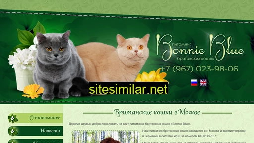 Bb-cat similar sites
