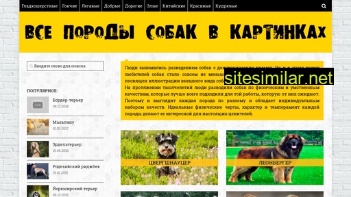 belfactory.ru alternative sites