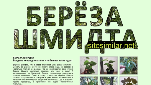 bereza-shmidta.ru alternative sites