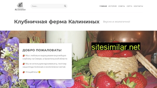 berry29.ru alternative sites