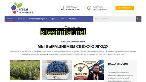 berry-valley.ru alternative sites