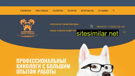 Bestdog-malakhovka similar sites