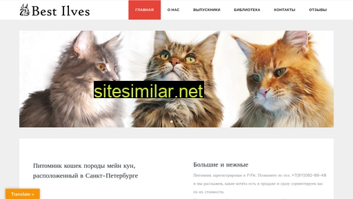 bestilves.ru alternative sites