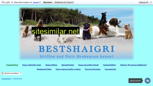bestshaigri.ru alternative sites