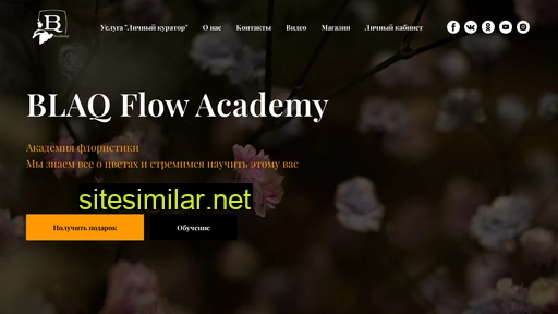 bf-academy.ru alternative sites