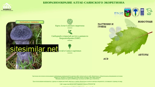 bioaltai-sayan.ru alternative sites