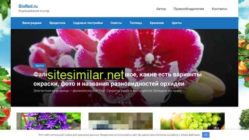 biored.ru alternative sites