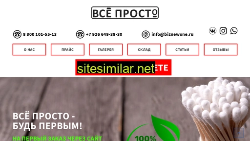biznewone.ru alternative sites