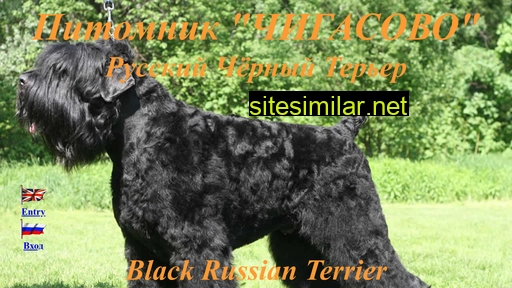Blackterrier similar sites