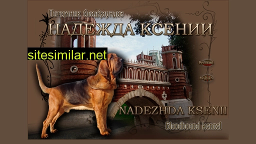 Bloodhound-nadezhda-ksenii similar sites
