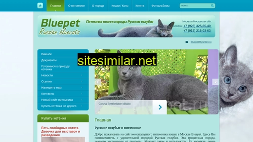 bluepet.ru alternative sites