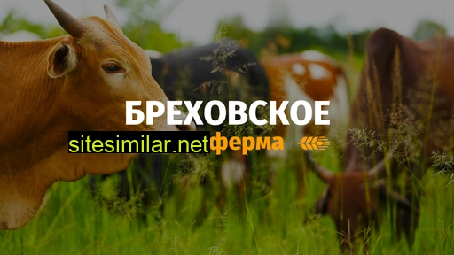 brehovskoe.ru alternative sites