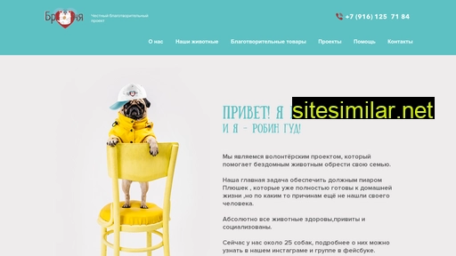 bronyasha.ru alternative sites